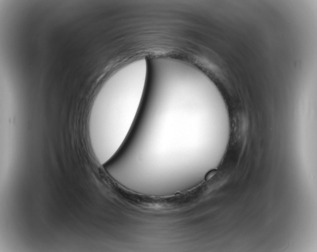 X0000086230212200703290951