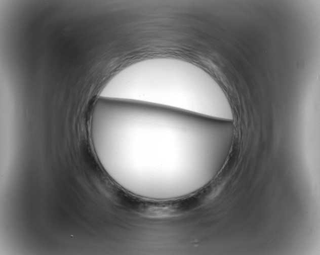 X0000086230213200703290951