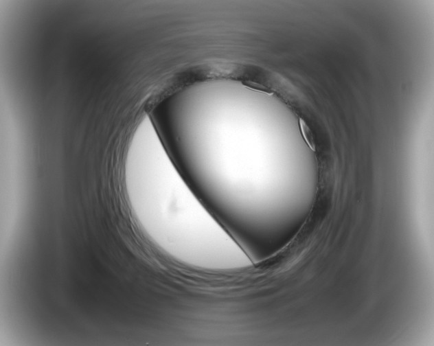 X0000086230215200703290951