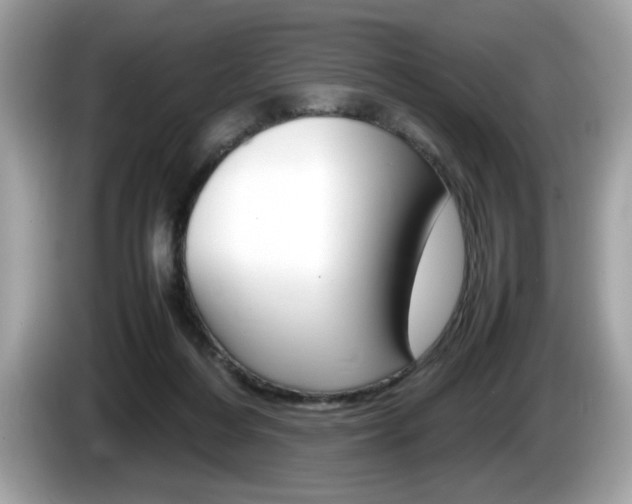 X0000086230216200703290951
