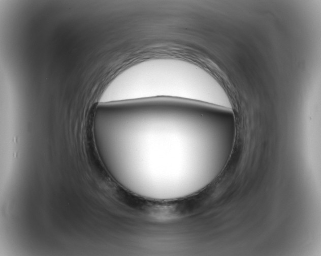 X0000086230217200703290950