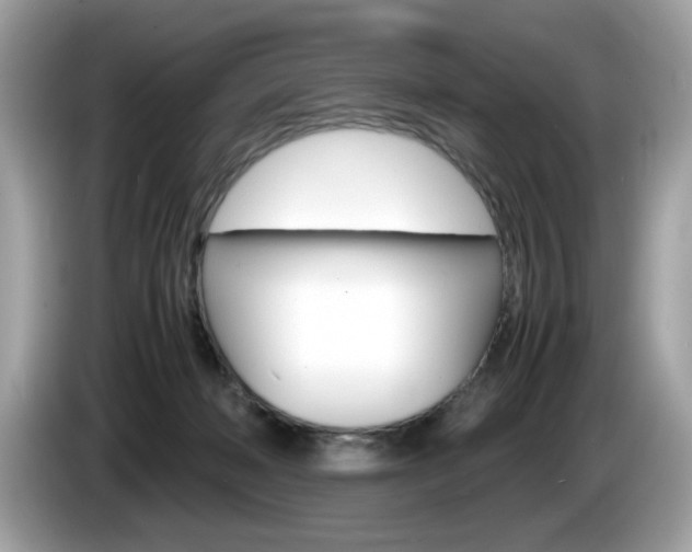 X0000086230222200703290950