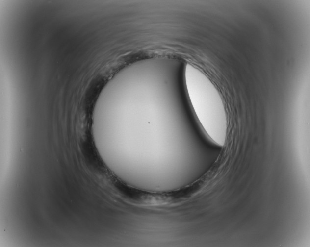 X0000086230223200703290950