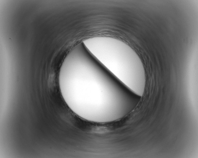 X0000086230224200703290950