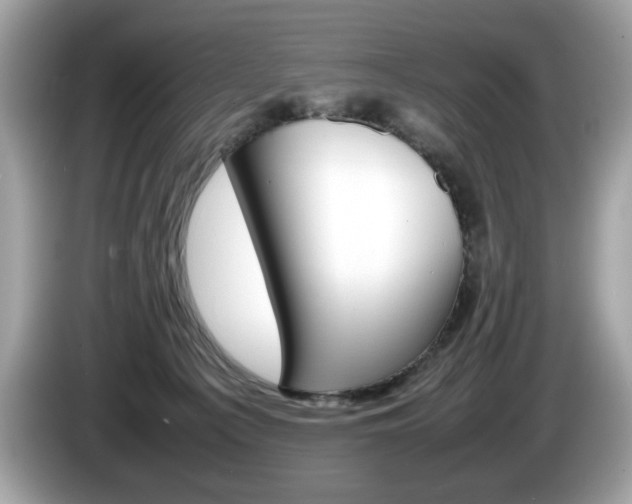 X0000086230225200703290950