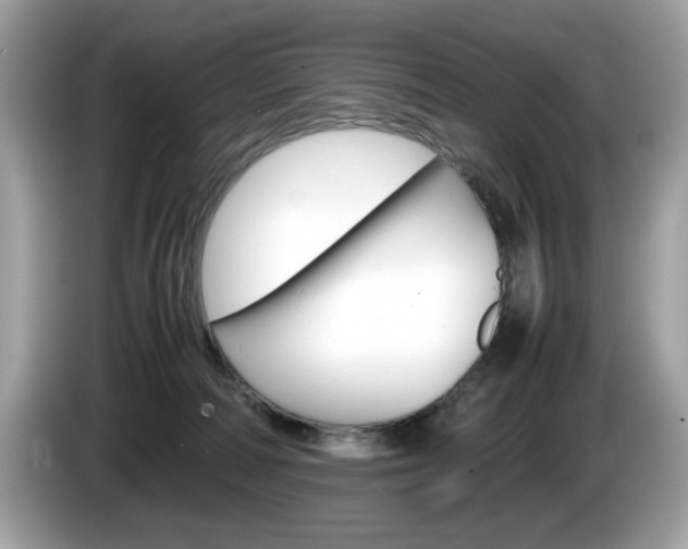 X0000086230226200703290950