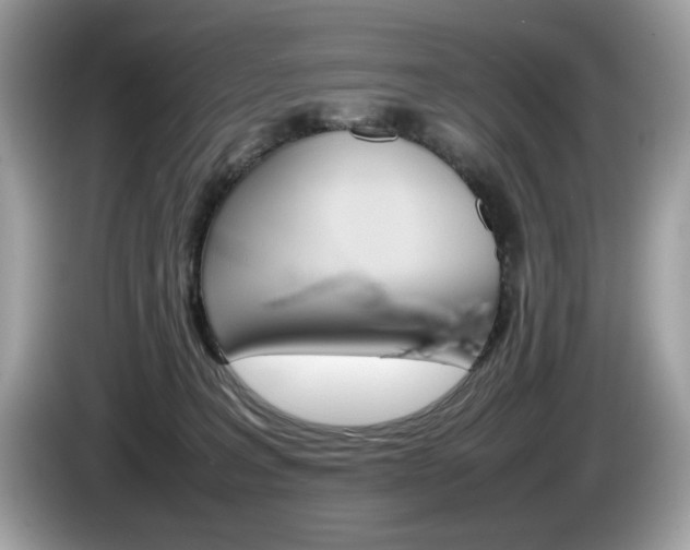 X0000086230227200703290950