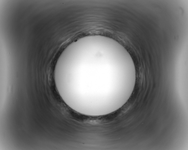 X0000086230228200703290950