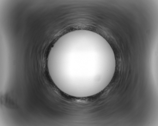 X0000086230232200703290950