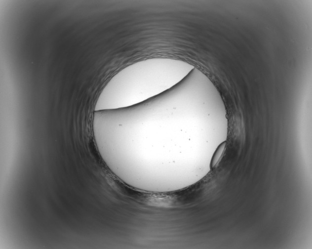 X0000086230234200703290950
