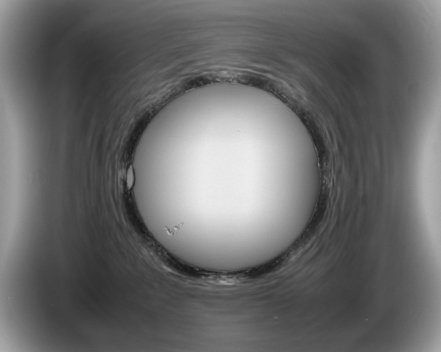 X0000086230235200703290950