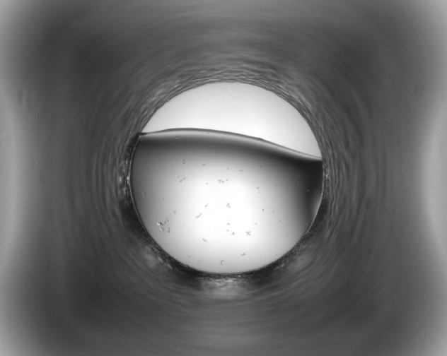 X0000086230237200703290950