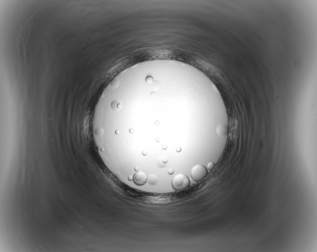 X0000086230238200703290950