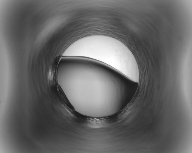 X0000086230239200703290950