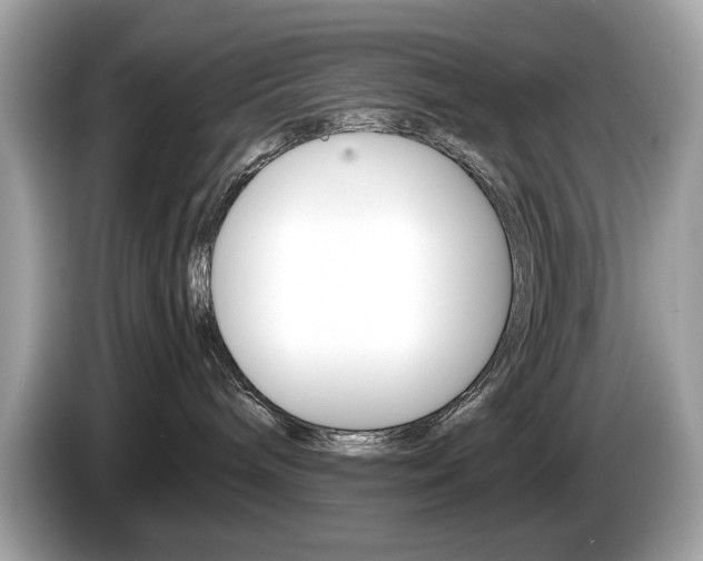 X0000086230240200703290950