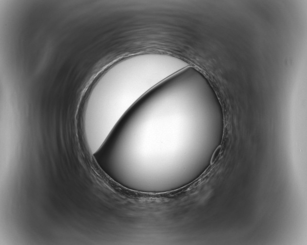 X0000086230242200703290950