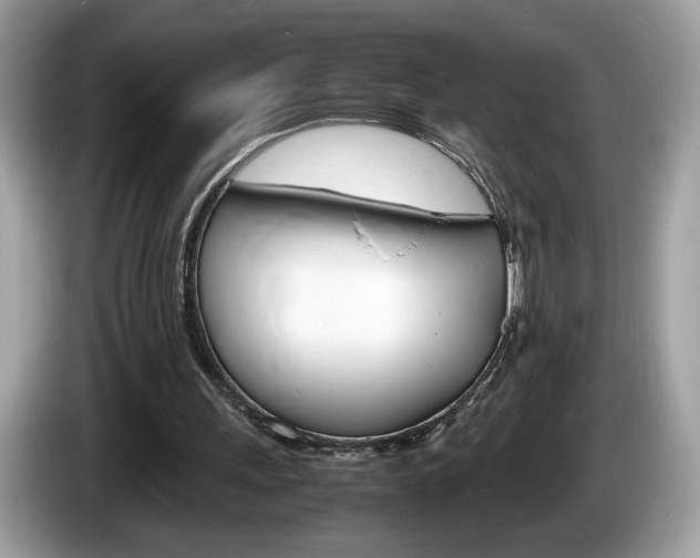 X0000086230243200703290950