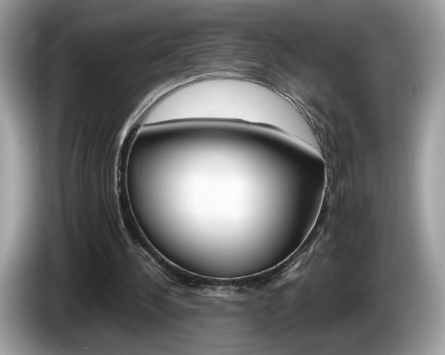 X0000086230244200703290950
