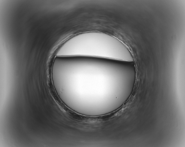 X0000086230245200703290950