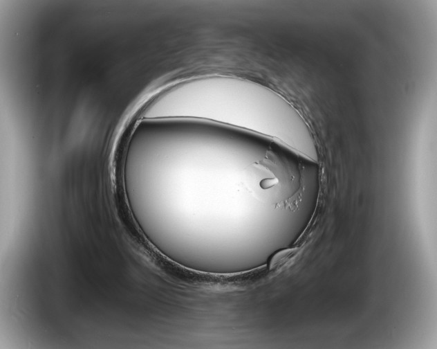 X0000086230246200703290950