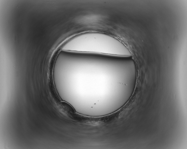 X0000086230247200703290950