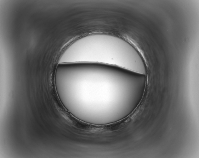 X0000086230249200703290950