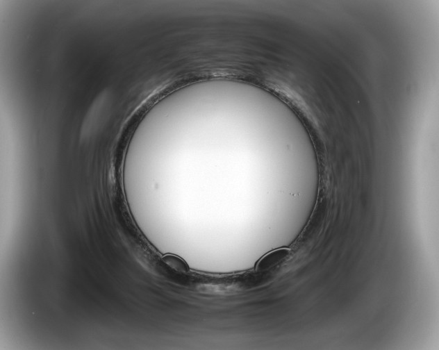 X0000086230251200703290950