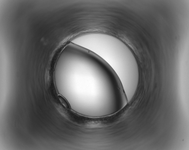 X0000086230252200703290950