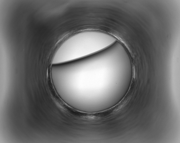 X0000086230253200703290950