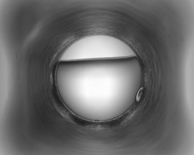 X0000086230254200703290950
