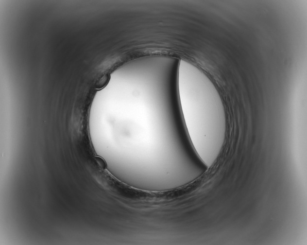 X0000086230255200703290950