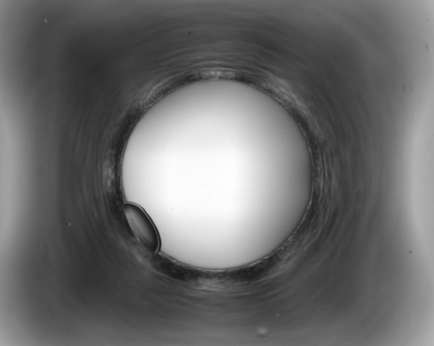 X0000086230259200703290950