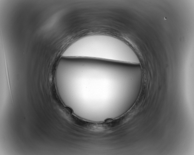 X0000086230261200703290950