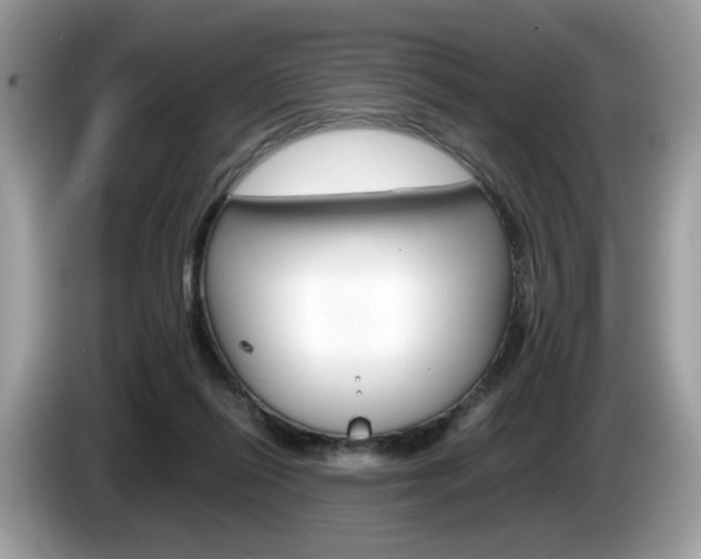 X0000086230262200703290950