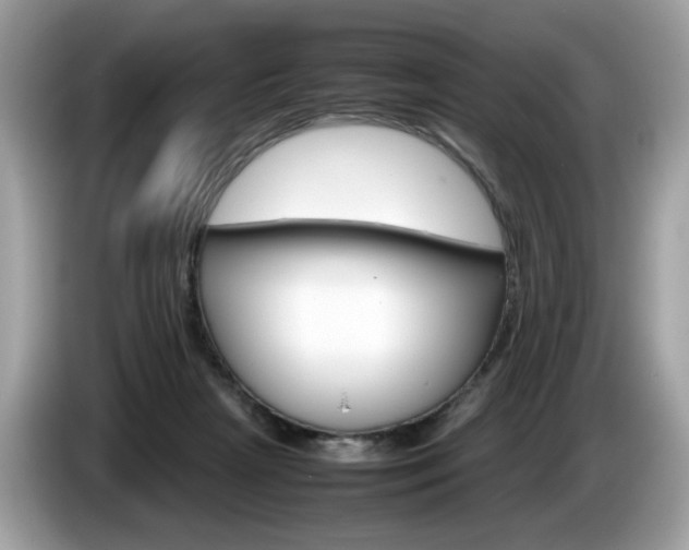 X0000086230265200703290950