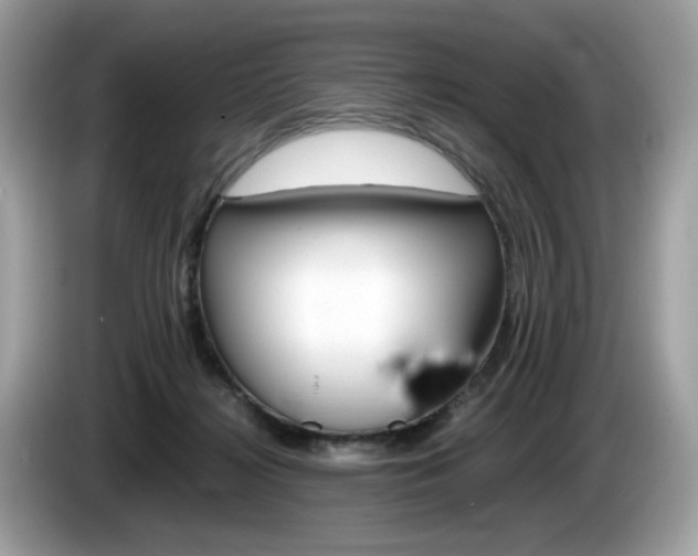 X0000086230268200703290950