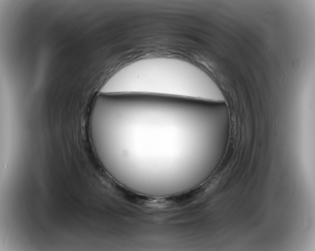 X0000086230269200703290950