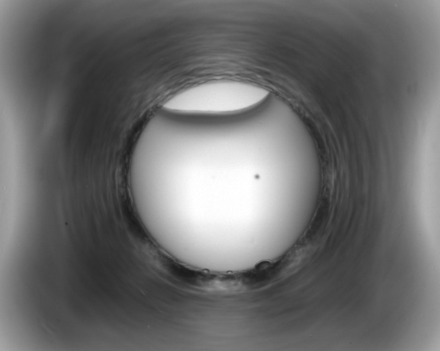 X0000086230270200703290950