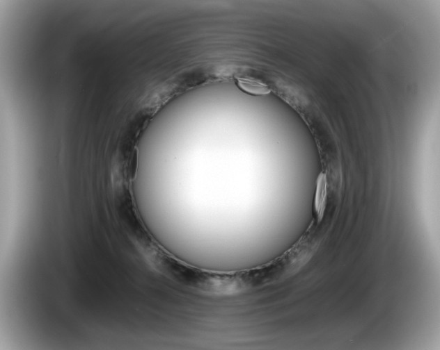 X0000086230272200703290950
