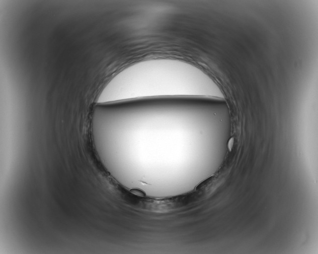 X0000086230277200703290950