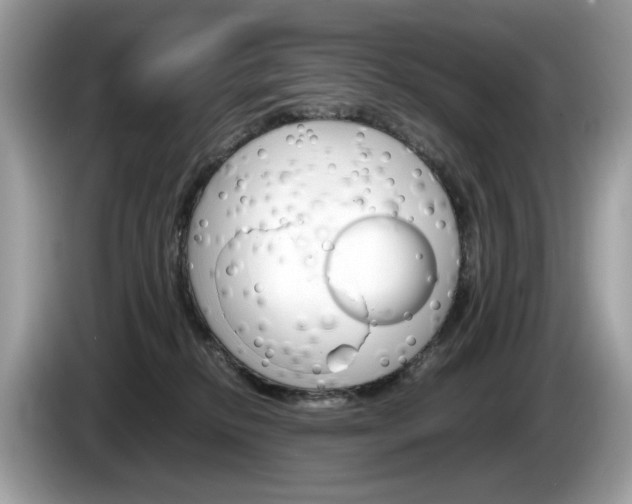X0000086230278200703290950