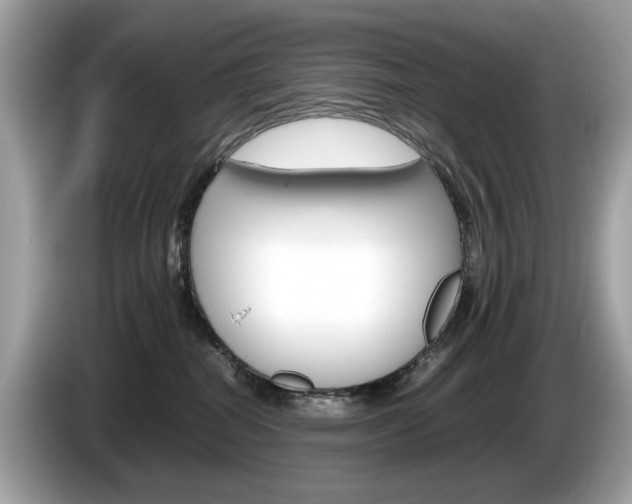 X0000086230282200703290950
