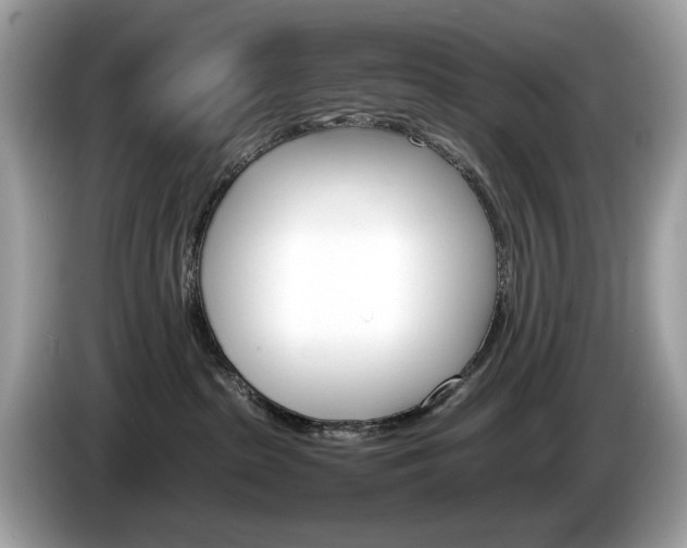 X0000086230285200703290950