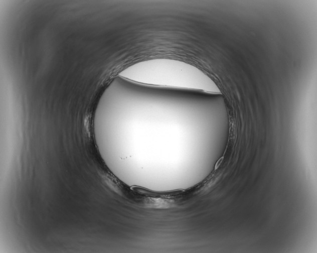 X0000086230286200703290950