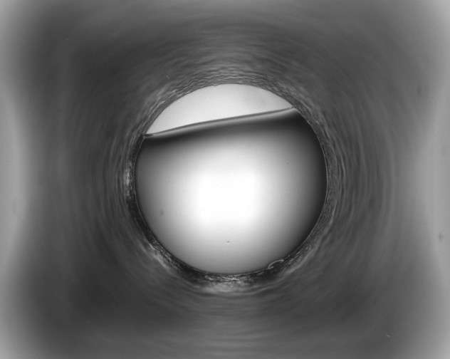 X0000086230288200703290950