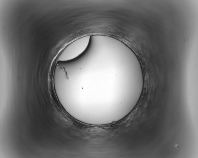 X0000086230290200703290949