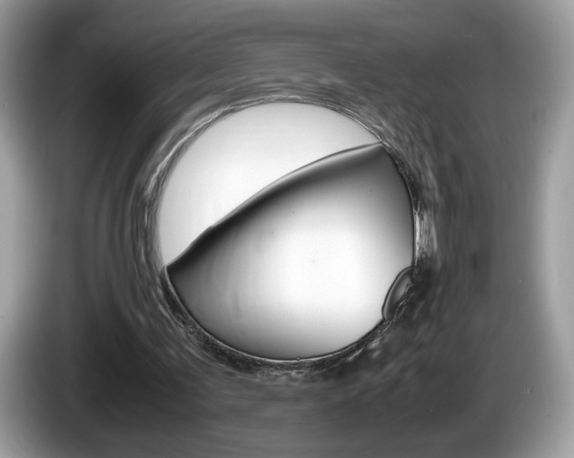 X0000086230291200703290949