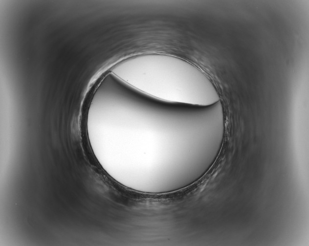 X0000086230292200703290949
