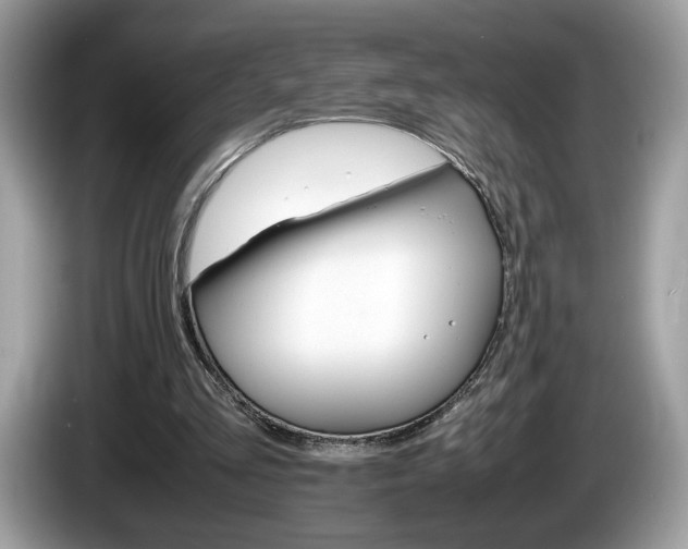 X0000086230293200703290949