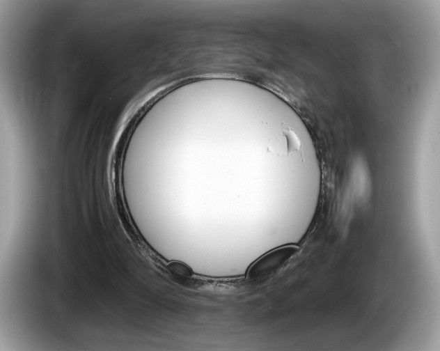 X0000086230294200703290949